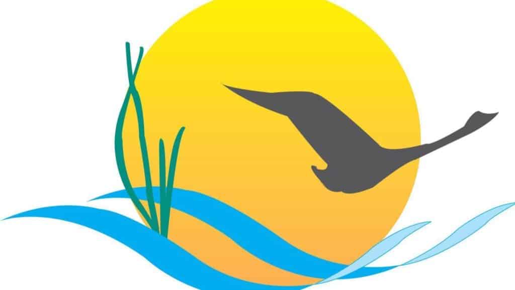 Send in Your Submissions for the 2020 Chesapeake Watershed Forum