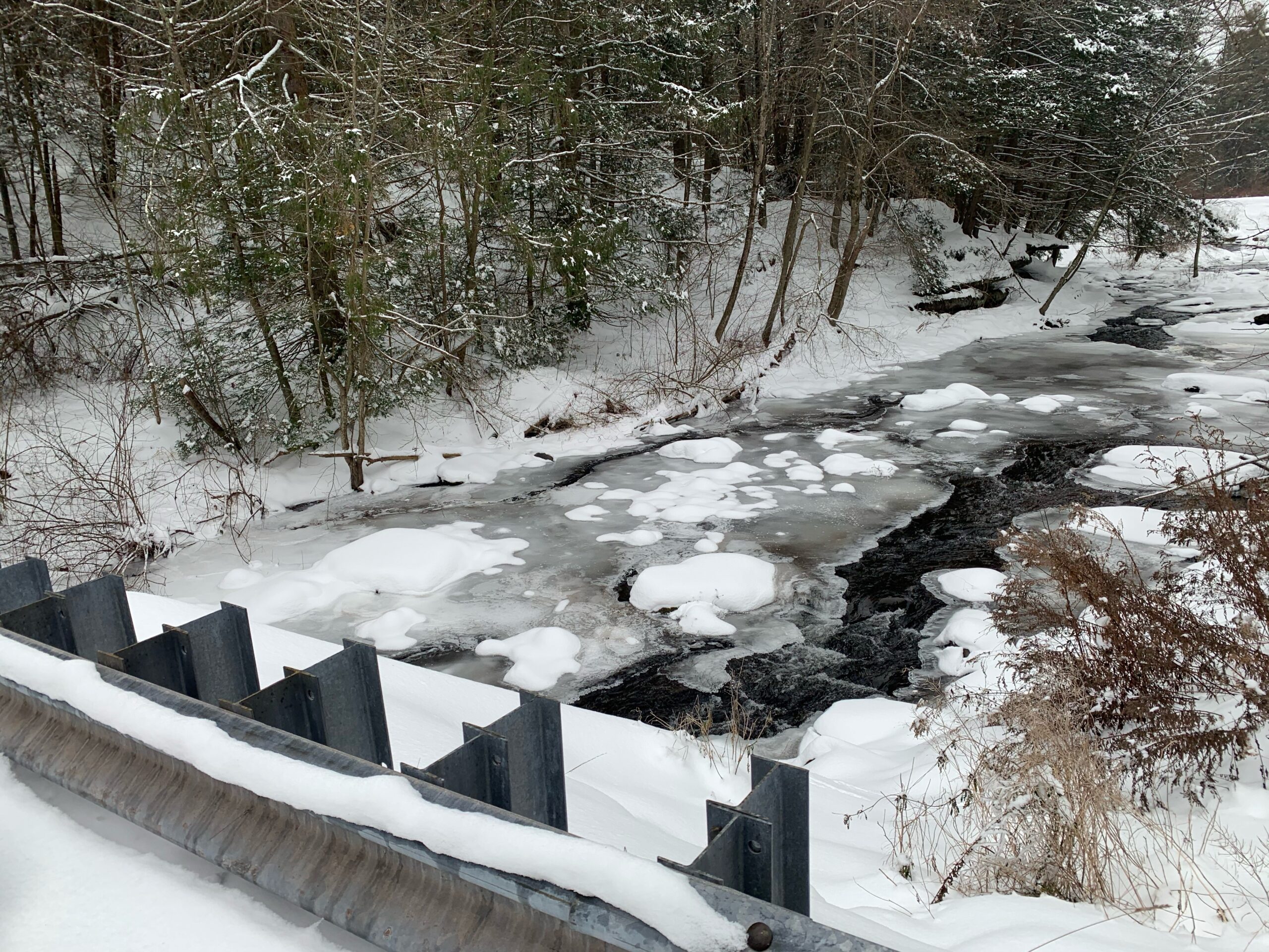 Winter conditions at local streams