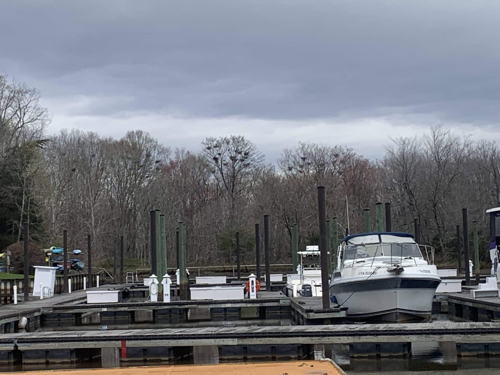 Green Aquia RiverTrends Recertification Chesapeake Monitoring Cooperative