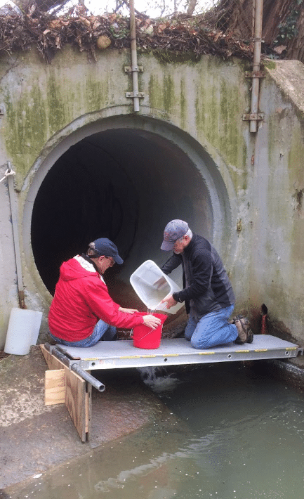 Volunteers sampling at a drainage pipe near Taylor Run in VA