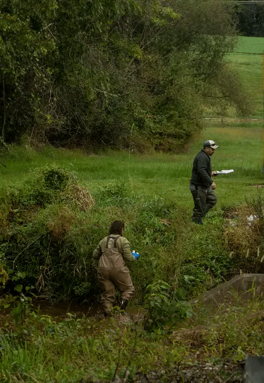 Water drainage at Kreutz Creek PA