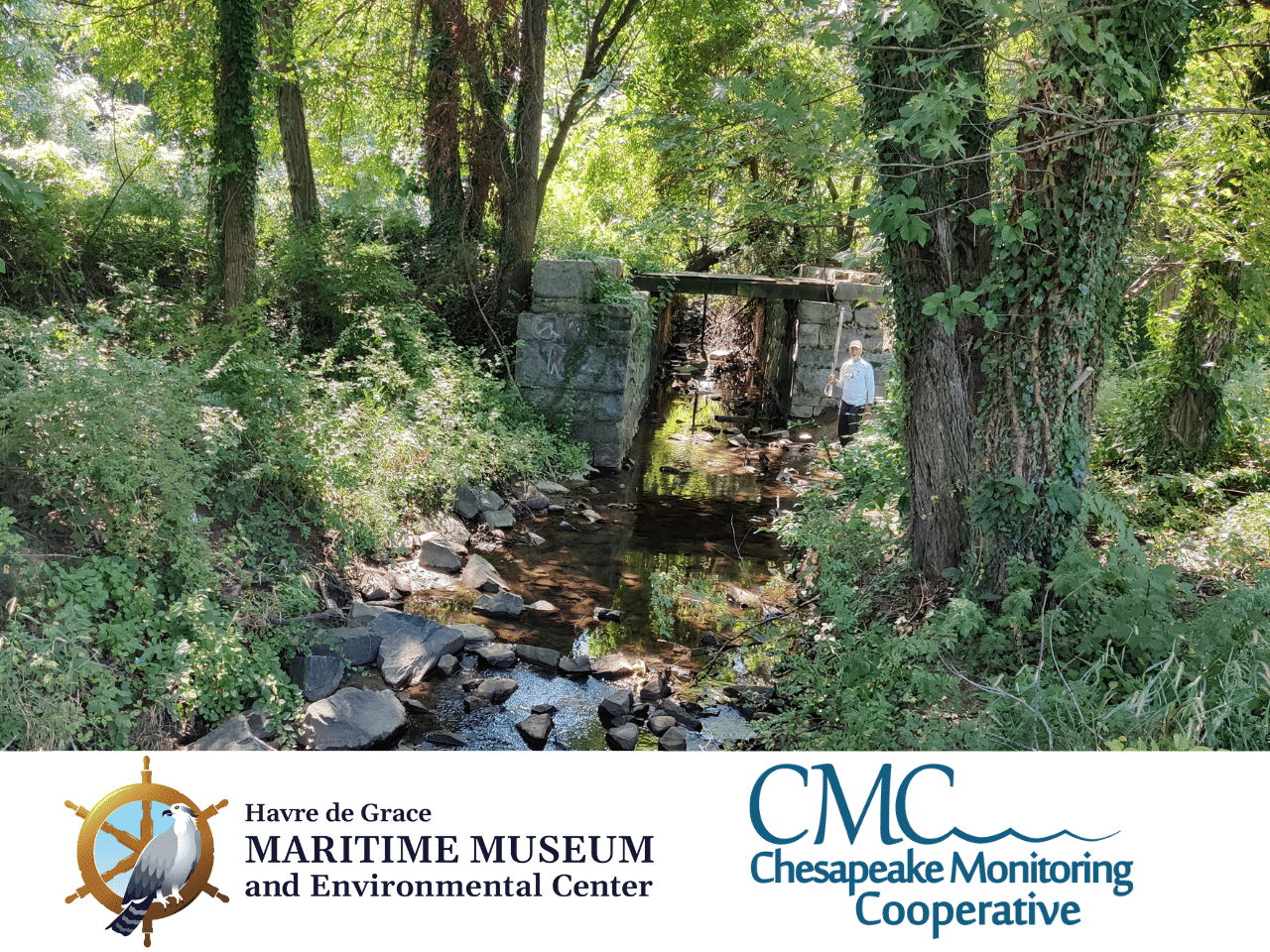 Havre De Grace Maritime Museum monitoring Lilly Run