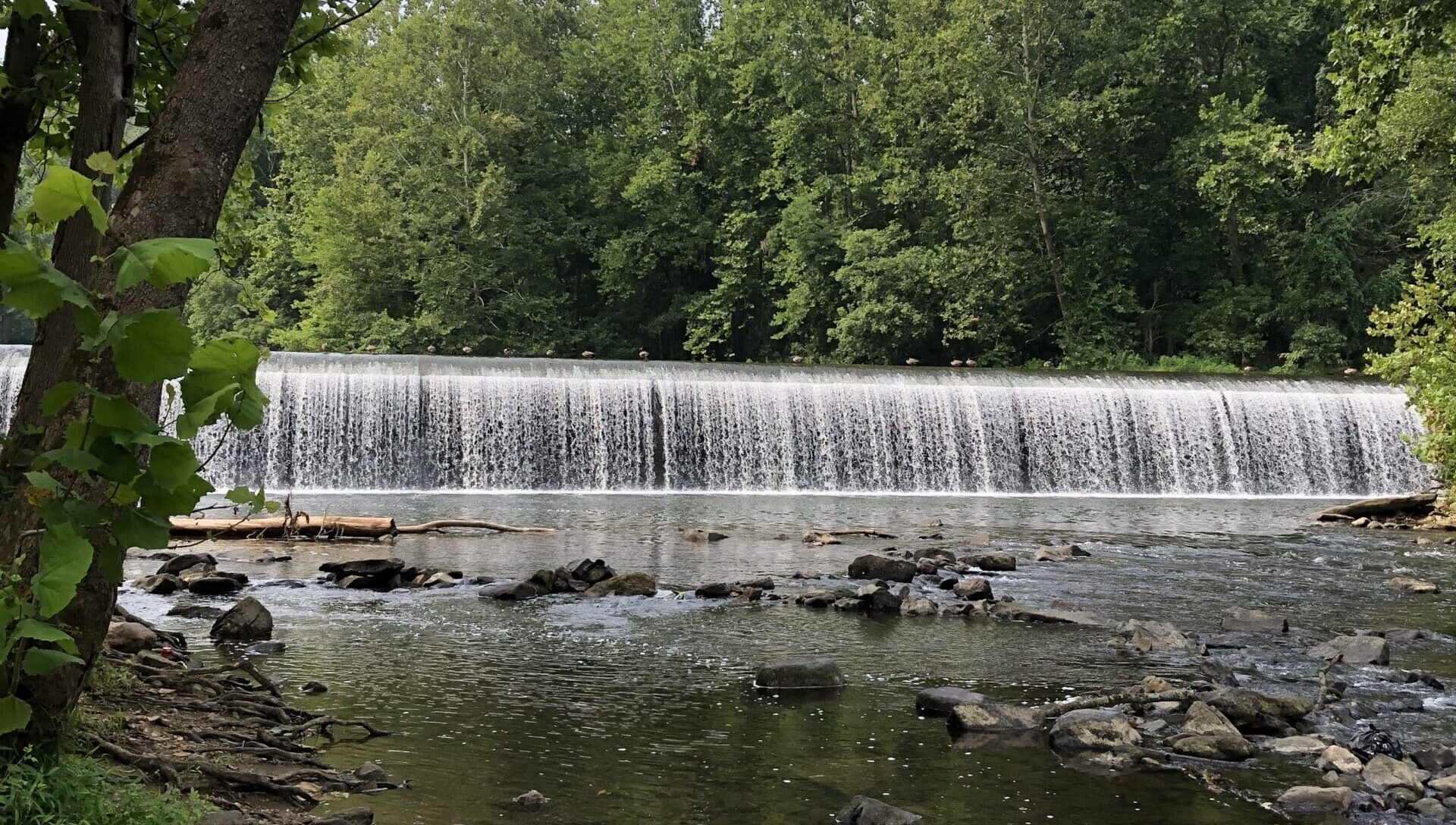 Monitoring location along the Patapsco River
