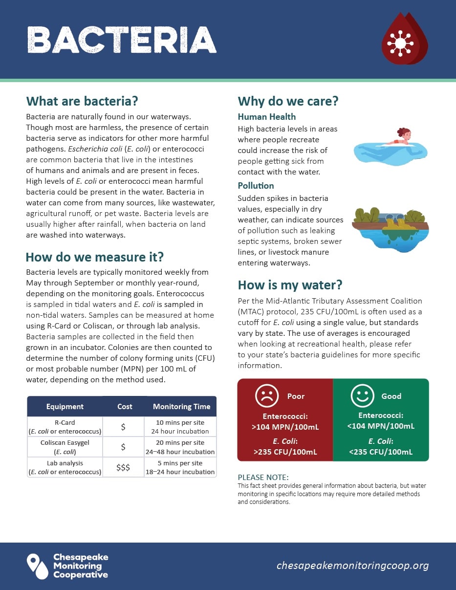 Bacteria factsheet thumbnail