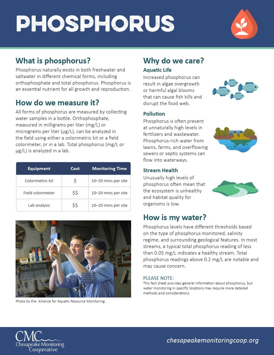 Phosphorus factsheet thumbnail