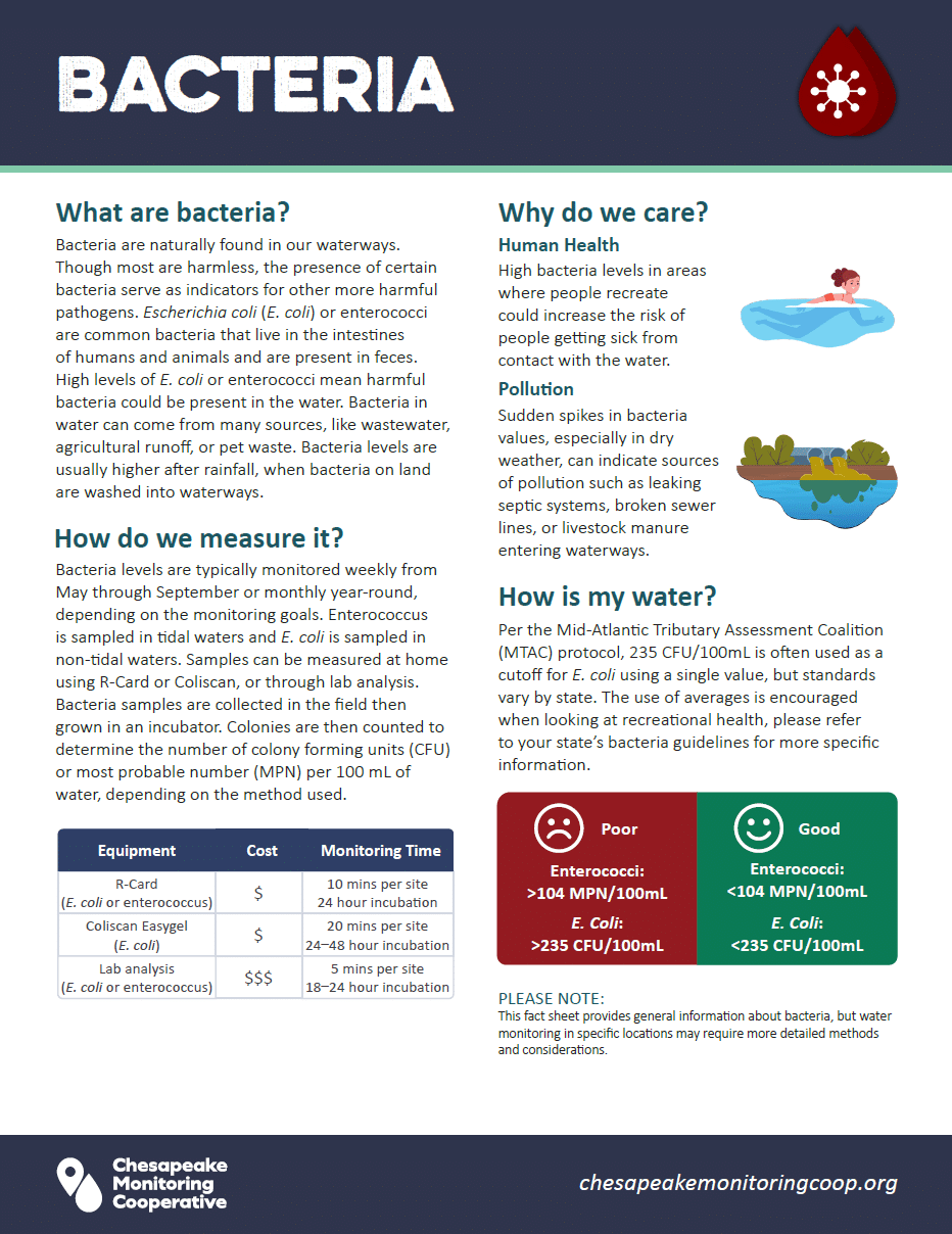 Bacteria factsheet thumbnail