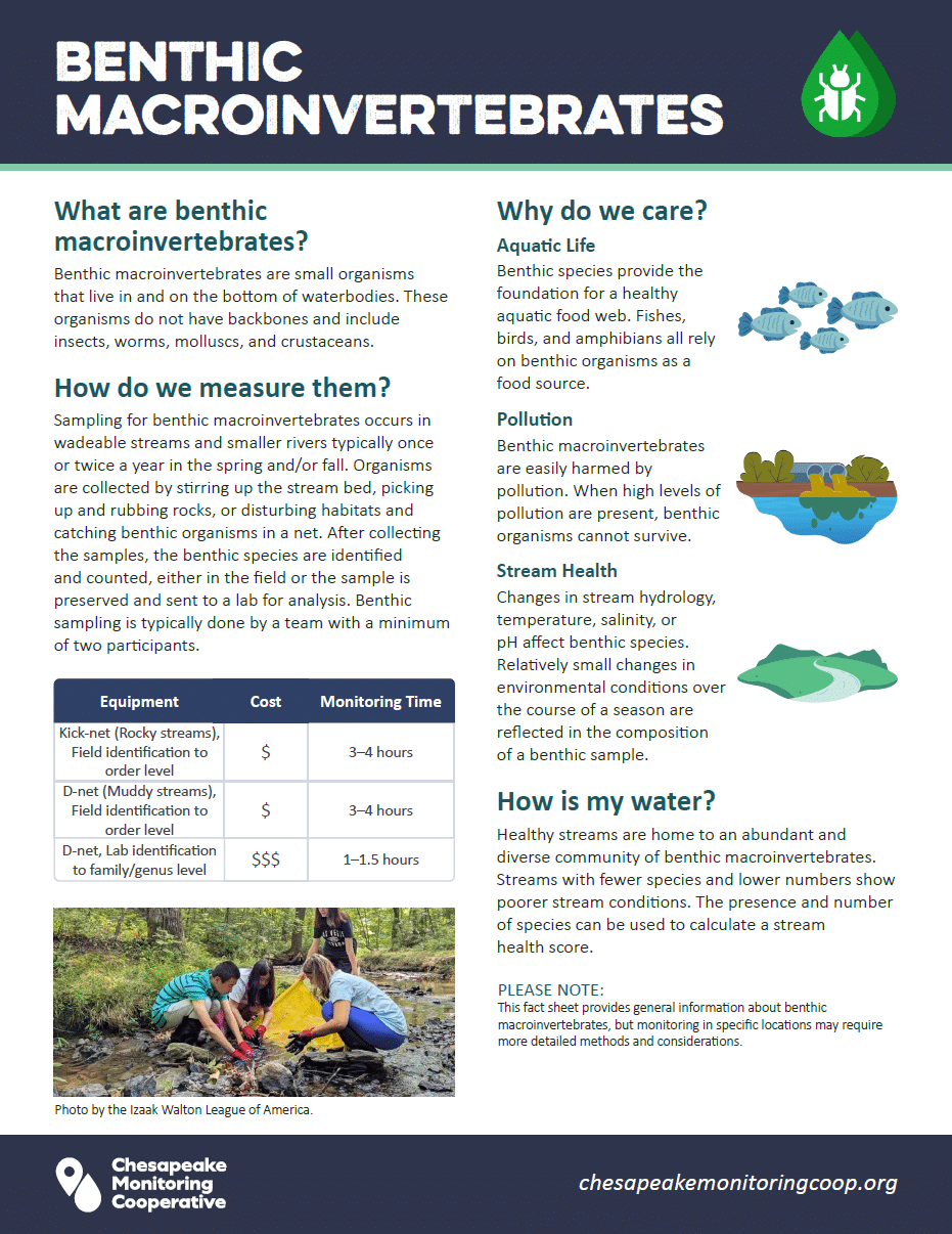 Benthic Macroinvertebrates factsheet thumbnail