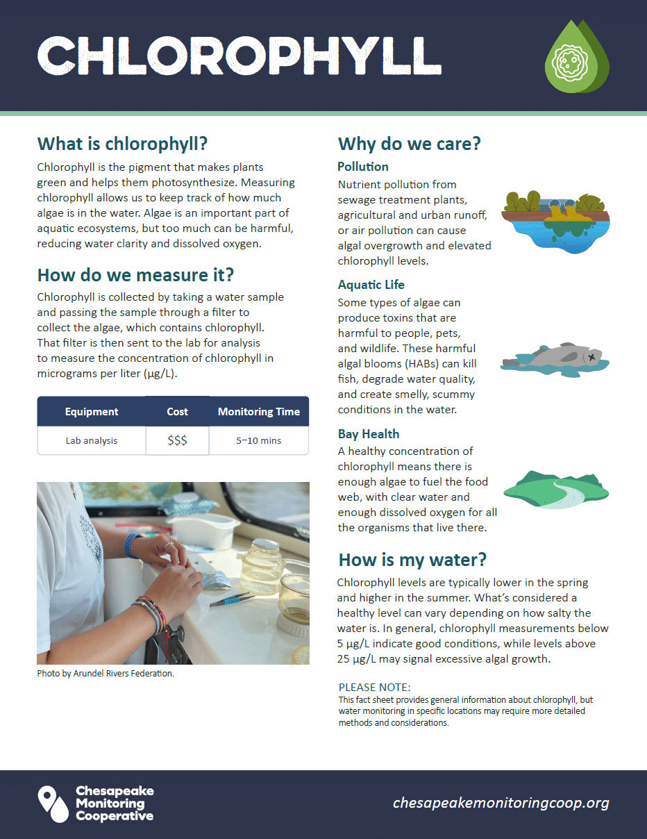 Chlorophyll factsheet thumbnail