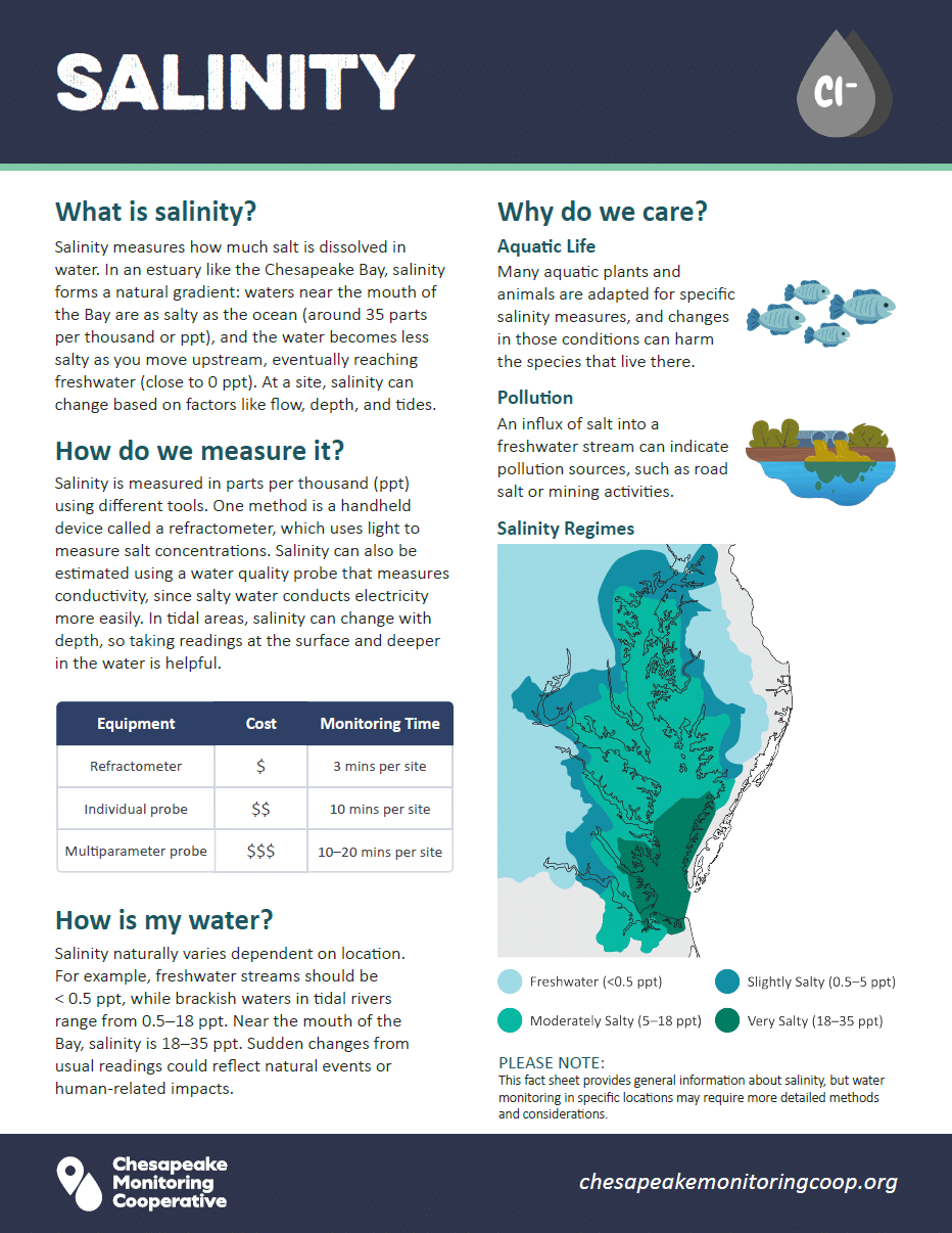 Salinity factsheet thumbnail