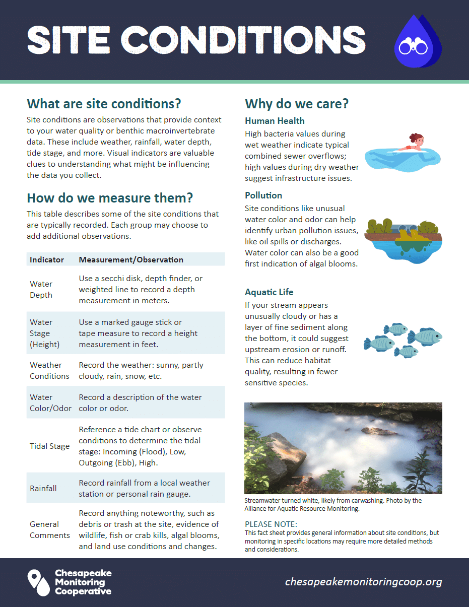 Site Conditions factsheet thumbnail