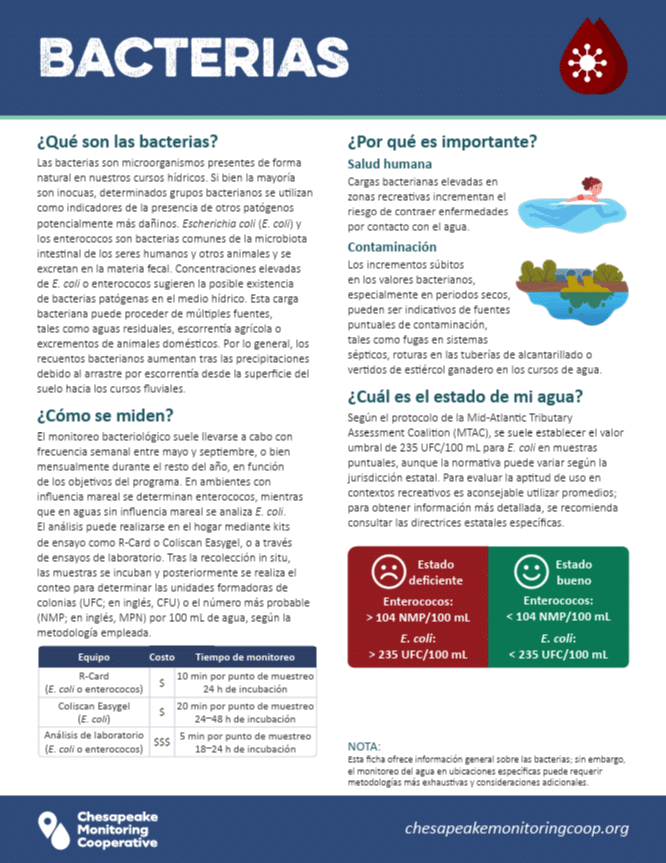 Spanish Factsheets thumbnail