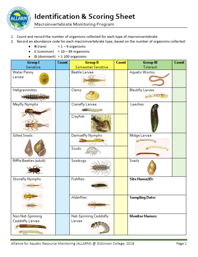 Upper Watershed Benthic Identification & Scoring Sheet thumbnail